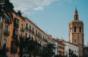 Control de plagas en Campanar Valencia