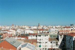Control de plagas en Paterna Valencia