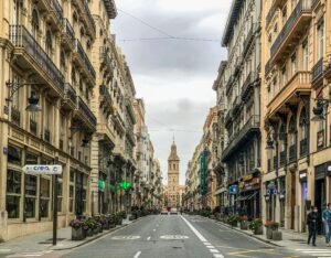 Control de plagas en Algirós Valencia