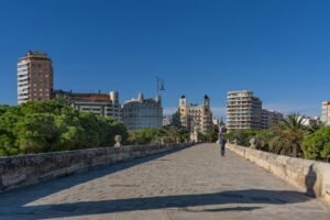 Control de plagas en Burjassot Valencia