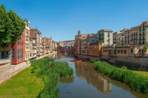 Control de plagas en Ciutat Vella Valencia