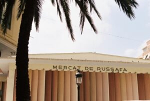 Control de plagas en Ruzafa Valencia